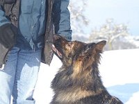 Ki-Shani